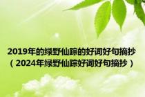 2019年的绿野仙踪的好词好句摘抄（2024年绿野仙踪好词好句摘抄）