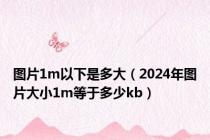 图片1m以下是多大（2024年图片大小1m等于多少kb）