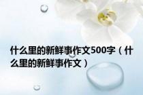 什么里的新鲜事作文500字（什么里的新鲜事作文）