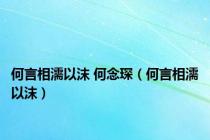 何言相濡以沫 何念琛（何言相濡以沫）