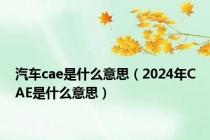 汽车cae是什么意思（2024年CAE是什么意思）