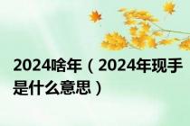 2024啥年（2024年现手是什么意思）