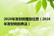 2020年发财树摆放位置（2024年发财树的养法）