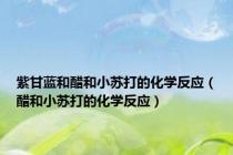 紫甘蓝和醋和小苏打的化学反应（醋和小苏打的化学反应）