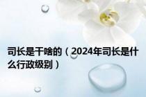 司长是干啥的（2024年司长是什么行政级别）