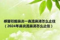 感冒引起鼻炎一直流鼻涕怎么止住（2024年鼻炎流鼻涕怎么止住）