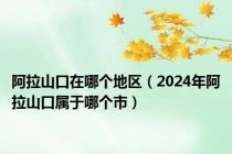 阿拉山口在哪个地区（2024年阿拉山口属于哪个市）