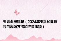 玉露会出锦吗（2024年玉露多肉植物的养殖方法和注意事项）