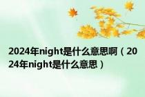 2024年night是什么意思啊（2024年night是什么意思）