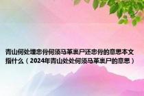 青山何处埋忠骨何须马革裹尸还忠骨的意思本文指什么（2024年青山处处何须马革裹尸的意思）