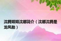 沈腾姐姐沈娜简介（沈娜沈腾是龙凤胎）