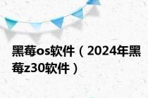 黑莓os软件（2024年黑莓z30软件）