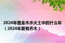 2024年是金木水火土中的什么年（2024年夏有乔木）