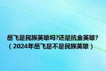 岳飞是民族英雄吗?还是抗金英雄?（2024年岳飞是不是民族英雄）