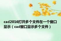 cad2016打开多个文件在一个窗口显示（cad窗口显示多个文件）