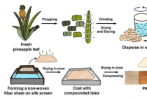 绿色皮革由菠萝叶纤维和天然橡胶开发的创新植物替代品