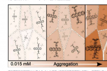 研究人员合成用于太阳能应用的分子聚集体
