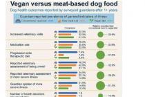 纯素饮食对狗的健康有多大改善