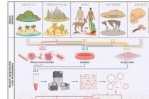 专家称微生物学的新时代高度依赖数据