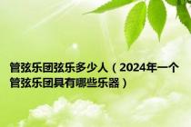 管弦乐团弦乐多少人（2024年一个管弦乐团具有哪些乐器）