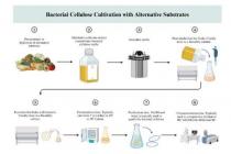 系统评价发现299种用于细菌纤维素生产的替代底物