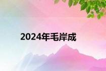 2024年毛岸成