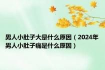 男人小肚子大是什么原因（2024年男人小肚子痛是什么原因）