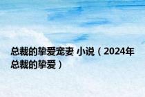 总裁的挚爱宠妻 小说（2024年总裁的挚爱）