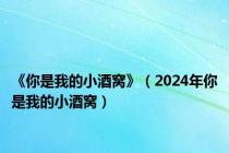 《你是我的小酒窝》（2024年你是我的小酒窝）