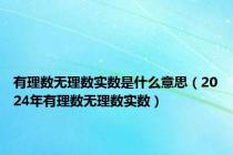 有理数无理数实数是什么意思（2024年有理数无理数实数）