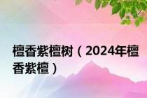 檀香紫檀树（2024年檀香紫檀）