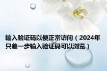 输入验证码以便正常访问（2024年只差一步输入验证码可以浏览）