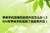 苹果手机黑屏但是有声音怎么办（2024年苹果手机黑屏了但是有声音）