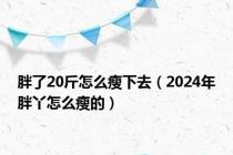 胖了20斤怎么瘦下去（2024年胖丫怎么瘦的）