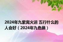 2024年九紫离火运 五行什么的人会好（2024年九色藤）