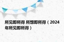 所见即所得 所想即所得（2024年所见即所得）