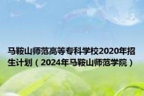 马鞍山师范高等专科学校2020年招生计划（2024年马鞍山师范学院）