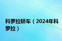 科罗拉轿车（2024年科罗拉）