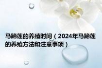 马蹄莲的养殖时间（2024年马蹄莲的养殖方法和注意事项）