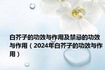 白芥子的功效与作用及禁忌的功效与作用（2024年白芥子的功效与作用）