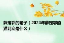 薛定鄂的箱子（2024年薛定鄂的猫到底是什么）