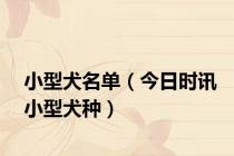 小型犬名单（今日时讯小型犬种）