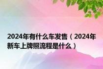 2024年有什么车发售（2024年新车上牌照流程是什么）