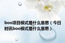 boo项目模式是什么意思（今日时讯boo模式是什么意思）