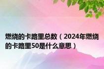 燃烧的卡路里总数（2024年燃烧的卡路里50是什么意思）