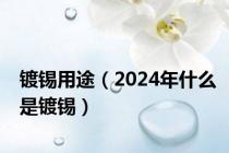 镀锡用途（2024年什么是镀锡）