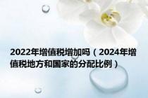 2022年增值税增加吗（2024年增值税地方和国家的分配比例）