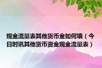 现金流量表其他货币金如何填（今日时讯其他货币资金现金流量表）