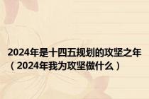 2024年是十四五规划的攻坚之年（2024年我为攻坚做什么）