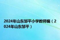 2024年山东邹平小学教师编（2024年山东邹平）